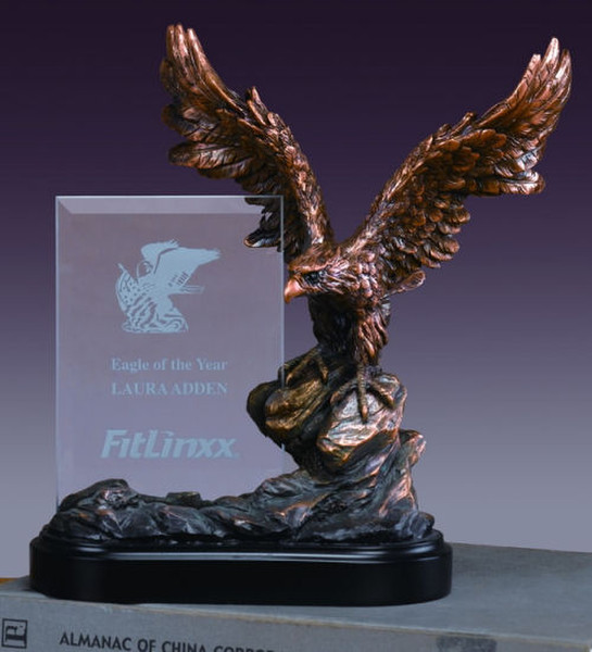 Glass Imprint Eagle Frame awards trophies glass Laser Engraved